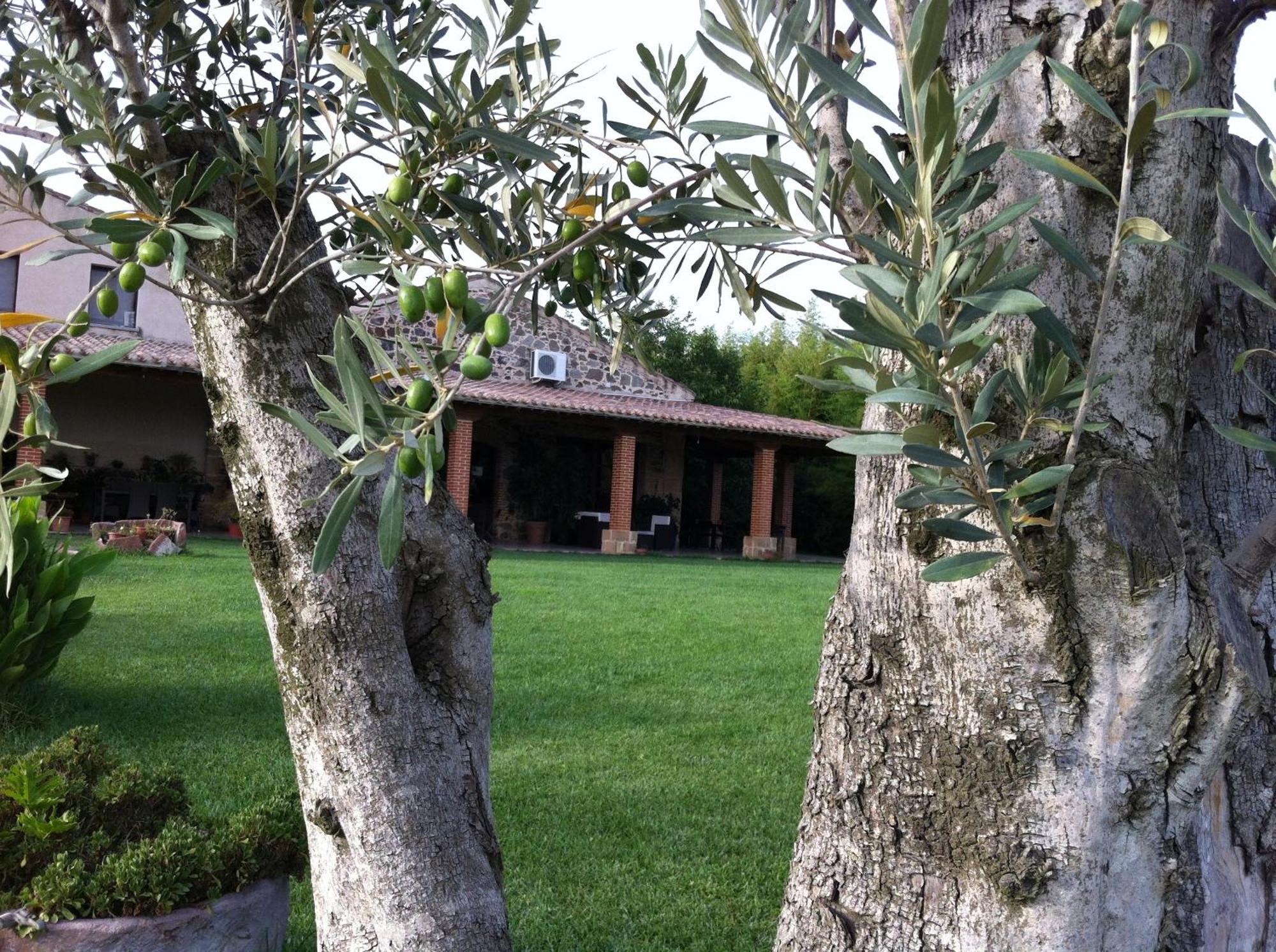 Agriturismo Il Giglio Ористано Экстерьер фото